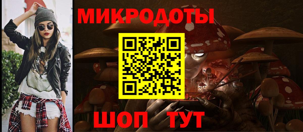 Галлюциногенные грибы Psilocybe Губаха
